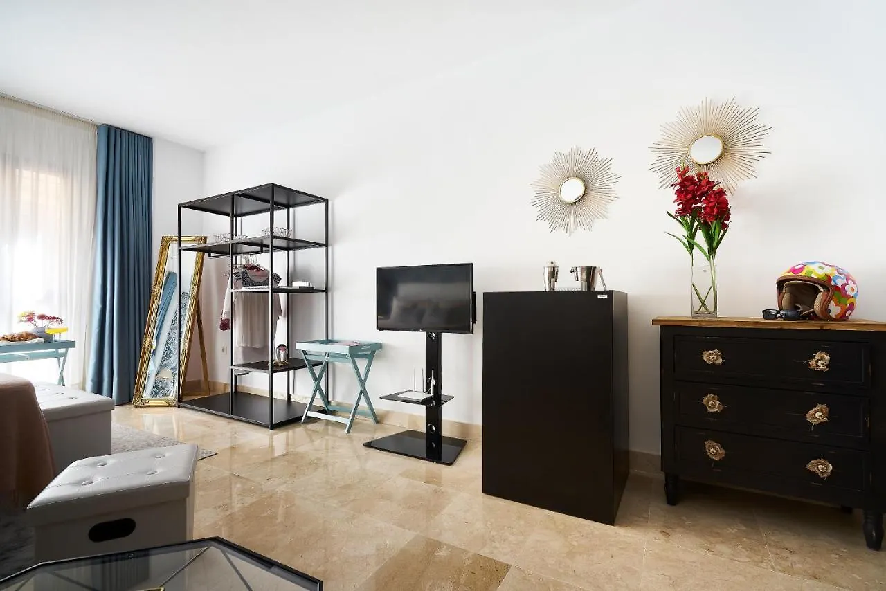Apartment Studio Deluxe With Shared Roof Terrace Malaga